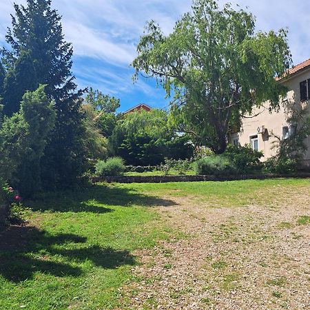 Apartman Oaza Τρέμπινιε Εξωτερικό φωτογραφία